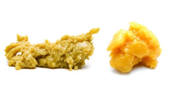 The Badder Lava Cake strain is a premium cannabis concentrate that combines the decadence of the Lava Cake strain with the creamy texture of hash rosin badder. Known for its sweet, chocolatey aroma and subtle hints of mint, Lava Cake offers a deeply relaxing high, perfect for unwinding after a long day.