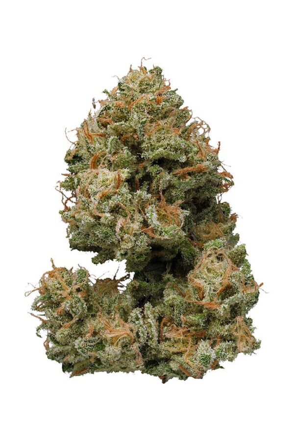Bubble Berry is a flavorful and potent cannabis strain known for its high THC levels and unique blend of sweet, fruity flavors. A hybrid, typically leaning slightly toward indica, it combines the best of both worlds: relaxation with an uplifting, euphoric high. The strain is a cross between Bubblegum and Blueberry, two iconic strains in the cannabis world.