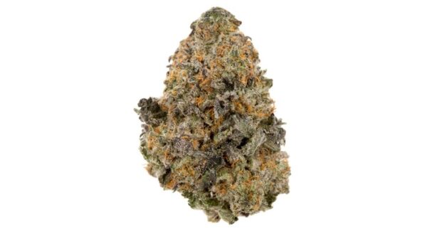 Gelato 33 is a popular hybrid strain known for its well-balanced effects, bringing together the best qualities of both its indica and sativa genetics. A cross between Sunset Sherbet and Thin Mint GSC, Gelato 33 offers a smooth, flavorful experience with a potent THC content, making it a favorite among experienced users.
