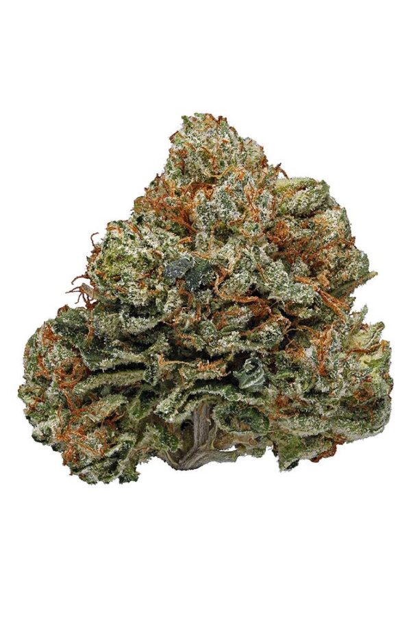 Paris OG is a highly potent indica-dominant hybrid strain known for its heavy effects and high THC levels, often ranging from 20% to 30%. This strain combines the best of the OG Kush lineage with unique, Parisian-inspired genetics, making it a standout in terms of both potency and flavor.