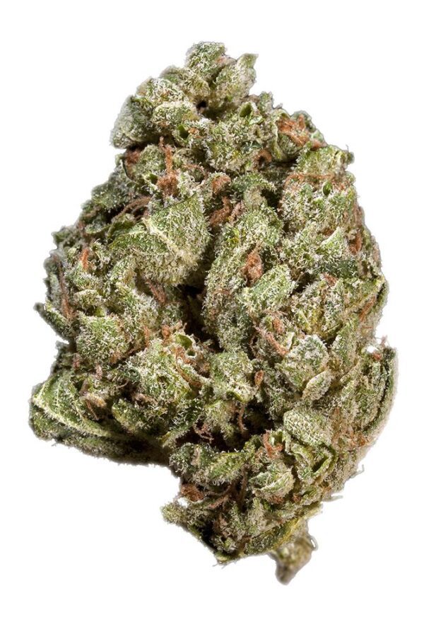 Sour OG is a potent, well-balanced hybrid strain known for its high THC levels, typically ranging from 25% to 30%, making it a top choice for experienced users seeking a strong and long-lasting high. This powerhouse strain is a cross between two legendary cultivars, Sour Diesel and OG Kush, resulting in a unique combination of euphoric cerebral effects and deep body relaxation.