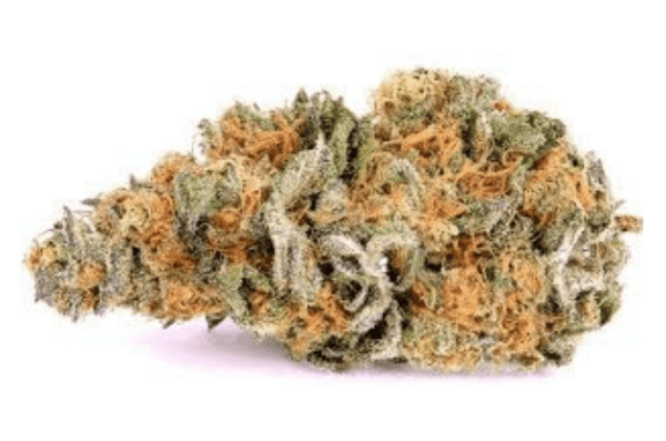 Thunder Fuck Haze is a legendary cannabis strain known for its potent effects and high THC content. Often referred to as "Thunderfuck" or "Alaskan Thunderfuck," this strain is a hybrid with origins tracing back to the Alaskan region, known for its resilience and power. It’s a cross between the Alaskan and Haze strains, bringing together the best of both worlds for a unique and powerful experience.