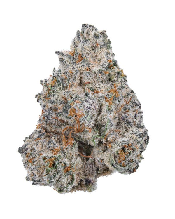 White Truffle (WT) is a premium hybrid cannabis strain known for its potent effects and exceptional flavor profile. With a balanced mix of relaxing body effects and uplifting cerebral euphoria, it’s perfect for both recreational and medicinal use. The buds are dense, with a frosty coating of trichomes, emitting earthy, piney aromas complemented by a subtle sweet, citrusy scent. This strain is favored for its smooth smoke and ability to help with stress, pain relief, and mood enhancement. Ideal for evening use, White Truffle provides a well-rounded, calming experience.