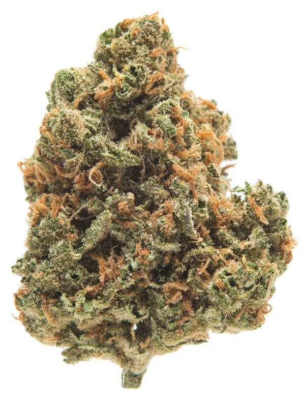 Brace yourself for the cool rush of Brainfreeze (BR), an exhilarating Sativa dominant hybrid strain that combines the best of both worlds. Known for its balanced effects, this strain delivers an instant cerebral uplift, followed by a soothing body relaxation that’s perfect for unwinding after a long day or enhancing creative moments. With a high THC content and a refreshing, frosty vibe, Brainfreeze is your go-to for a highly enjoyable and potent experience.
