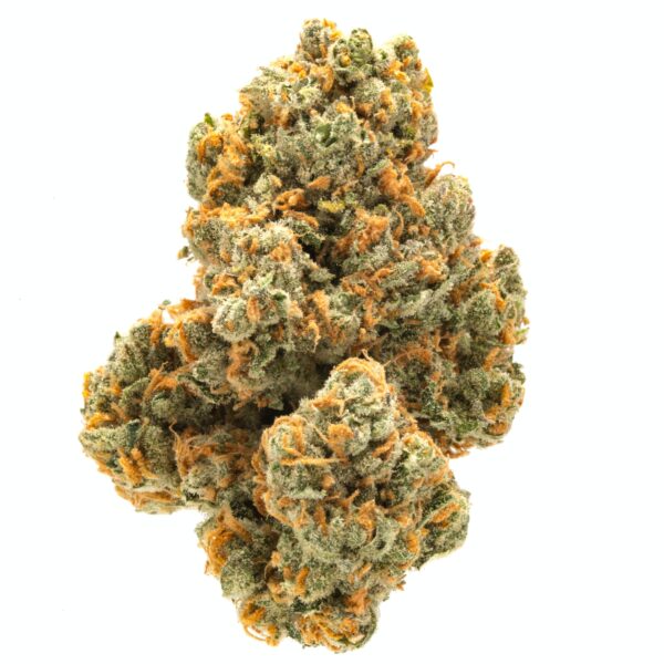 Green Crack is a highly popular and potent cannabis strain known for its uplifting and energizing effects, making it a favorite among those looking for a burst of energy and focus. With THC levels often ranging from 18% to 25%, this strain is considered high-THC, providing a powerful cerebral high that is both clear-headed and motivating.