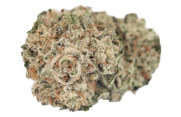 UFC OG is a potent and highly revered cannabis strain, known for its strong effects and high THC content. A hybrid strain, UFC OG combines the best traits of both indica and sativa, delivering a well-rounded experience that packs a punch. It’s especially favored by experienced users seeking powerful effects.