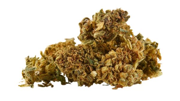 ON BUDGET OLDER WEED